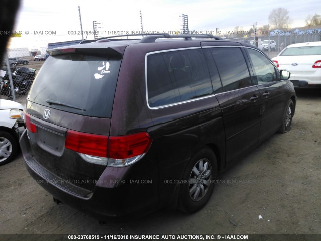 5FNRL38789B409671 - 2009 HONDA ODYSSEY EXL BURGUNDY photo 4