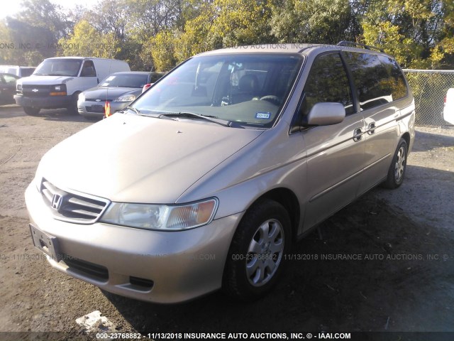 2HKRL18912H519782 - 2002 HONDA ODYSSEY EXL GOLD photo 2