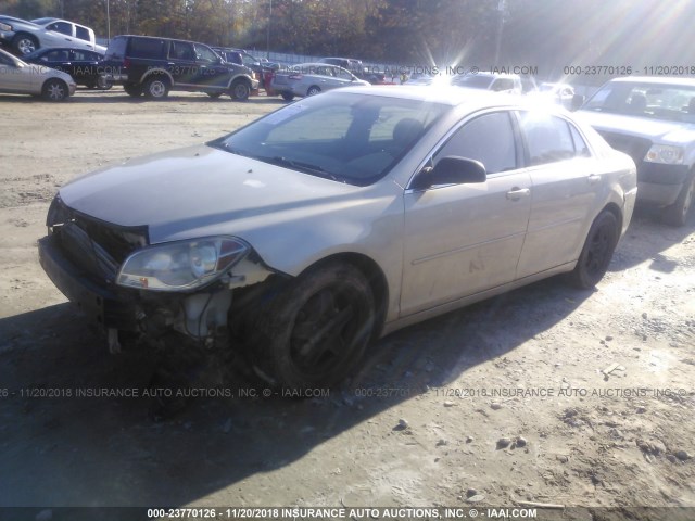 1G1ZB5EBXAF153081 - 2010 CHEVROLET MALIBU LS BEIGE photo 2