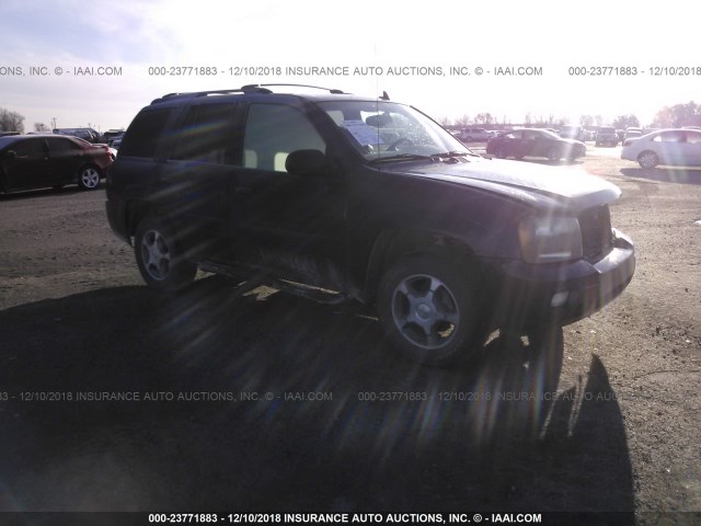 1GNDS13SX82134794 - 2008 CHEVROLET TRAILBLAZER LS/LT BLUE photo 1