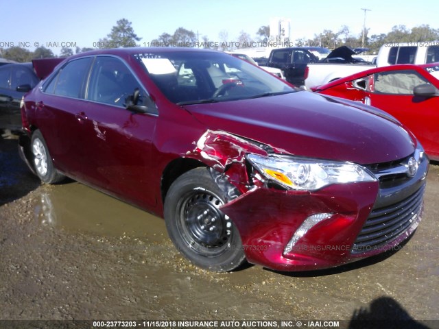 4T1BF1FK9HU764788 - 2017 TOYOTA CAMRY LE/XLE/SE/XSE RED photo 1