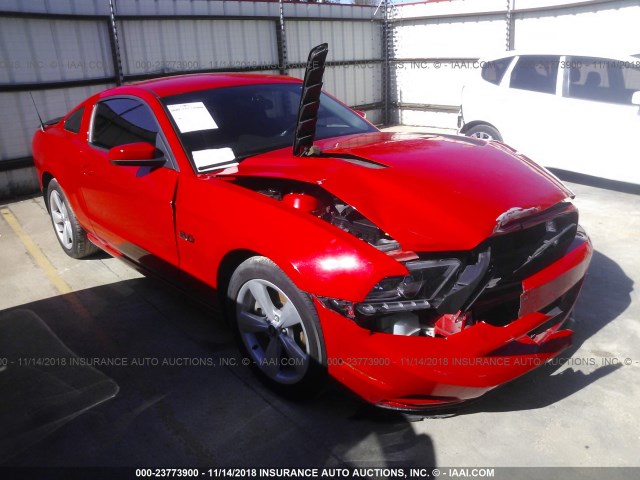 1ZVBP8CF8E5252332 - 2014 FORD MUSTANG GT RED photo 1