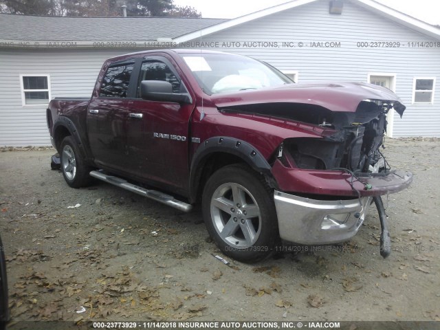 1C6RD7LT7CS256985 - 2012 DODGE RAM 1500 SLT MAROON photo 1