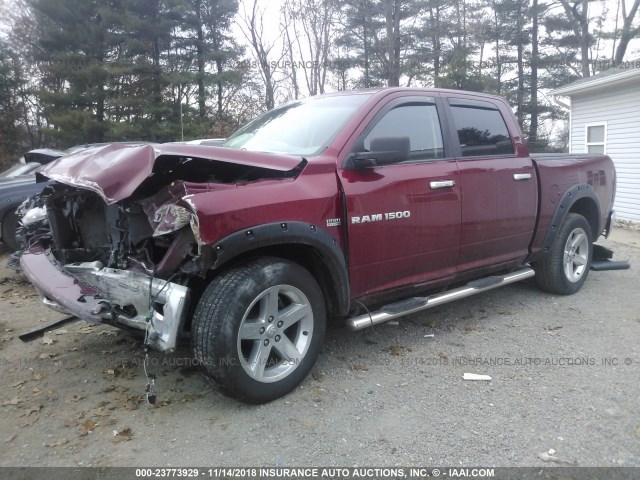 1C6RD7LT7CS256985 - 2012 DODGE RAM 1500 SLT MAROON photo 2