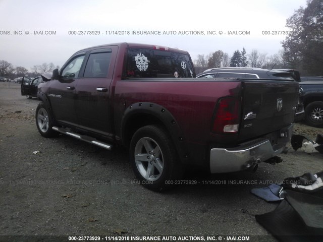 1C6RD7LT7CS256985 - 2012 DODGE RAM 1500 SLT MAROON photo 3