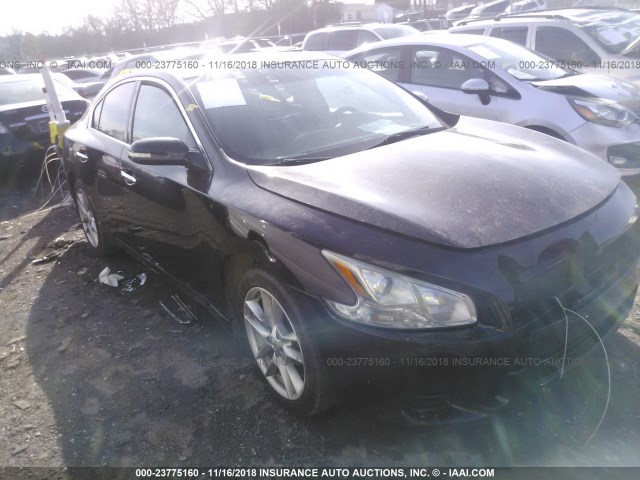 1N4AA5AP3BC857365 - 2011 NISSAN MAXIMA S/SV BLACK photo 1