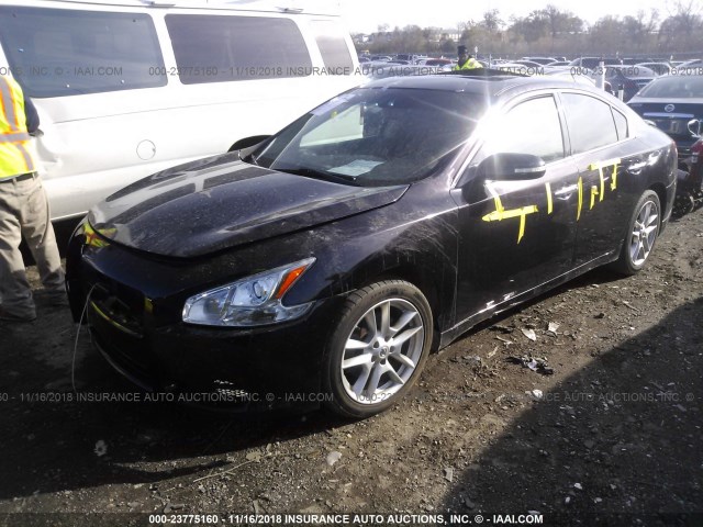 1N4AA5AP3BC857365 - 2011 NISSAN MAXIMA S/SV BLACK photo 2