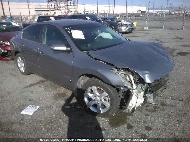 1N4CL21E49C114871 - 2009 NISSAN ALTIMA HYBRID GRAY photo 1