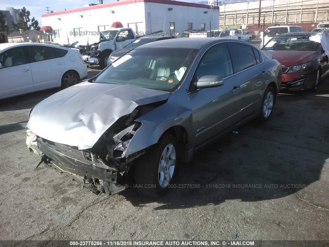 1N4CL21E49C114871 - 2009 NISSAN ALTIMA HYBRID GRAY photo 2