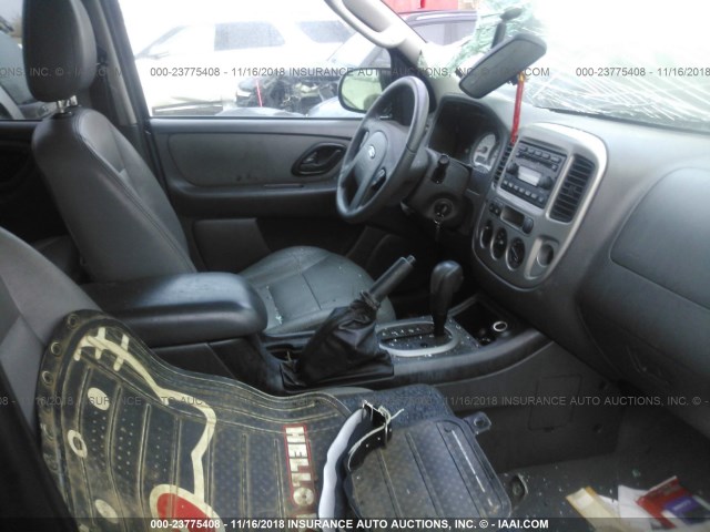 1FMYU03155KA48905 - 2005 FORD ESCAPE XLT BLUE photo 5