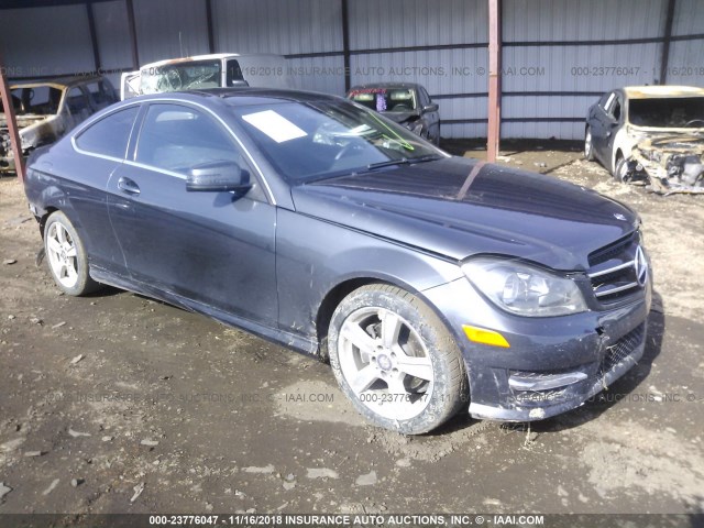 WDDGJ4HB6DG056004 - 2013 MERCEDES-BENZ C 250 GRAY photo 1