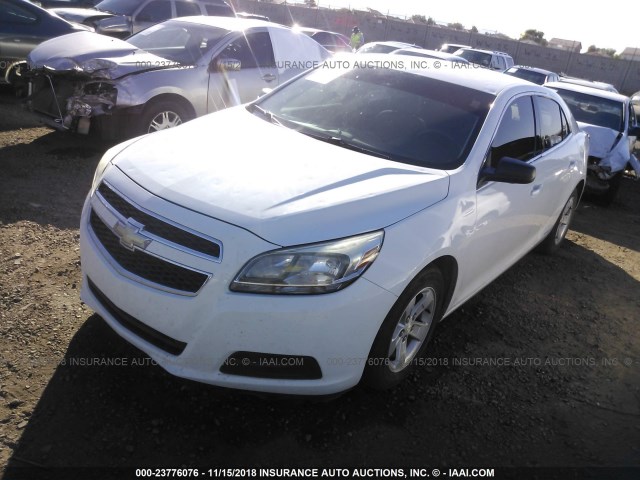1G11B5SA1DF237867 - 2013 CHEVROLET MALIBU LS 白色 照片 2