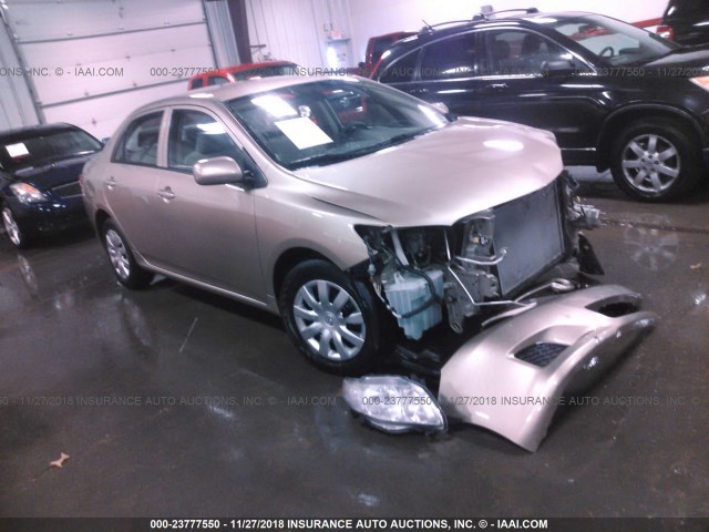 1NXBU4EE2AZ339924 - 2010 TOYOTA COROLLA S/LE/XLE GOLD photo 1