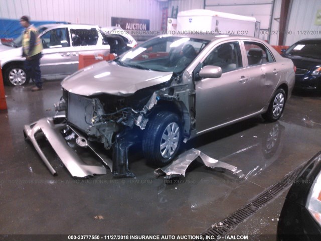 1NXBU4EE2AZ339924 - 2010 TOYOTA COROLLA S/LE/XLE GOLD photo 2