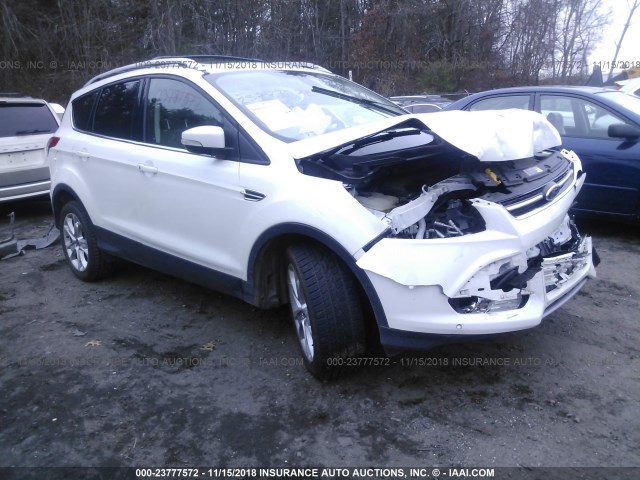 1FMCU9JX3EUB74822 - 2014 FORD ESCAPE TITANIUM WHITE photo 1