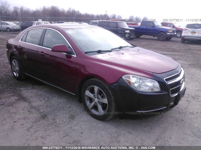 1G1ZD5E15BF252457 - 2011 CHEVROLET MALIBU 2LT RED photo 1