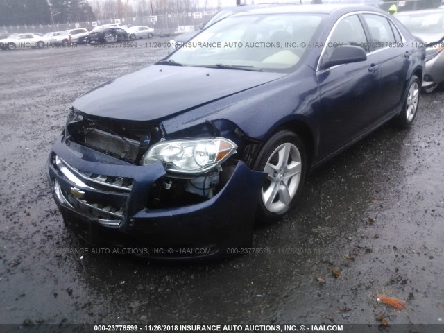 1G1ZB5EB2AF313339 - 2010 CHEVROLET MALIBU LS 蓝色 照片 2
