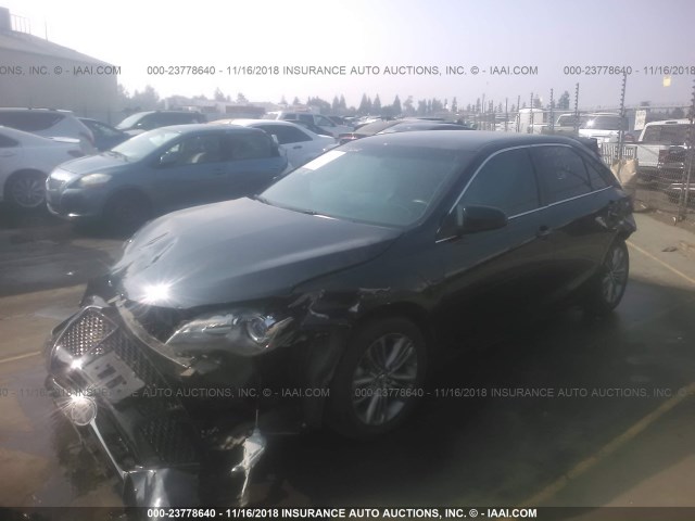 4T1BF1FK2HU386278 - 2017 TOYOTA CAMRY LE/XLE/SE/XSE BLUE photo 2