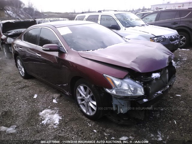 1N4AA5AP3AC812635 - 2010 NISSAN MAXIMA S/SV RED photo 1