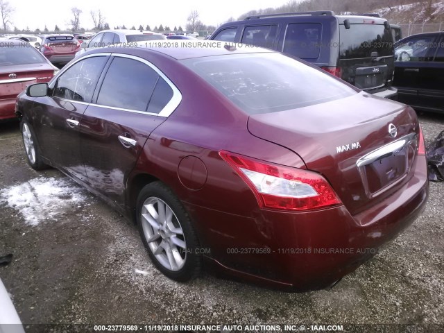 1N4AA5AP3AC812635 - 2010 NISSAN MAXIMA S/SV RED photo 3