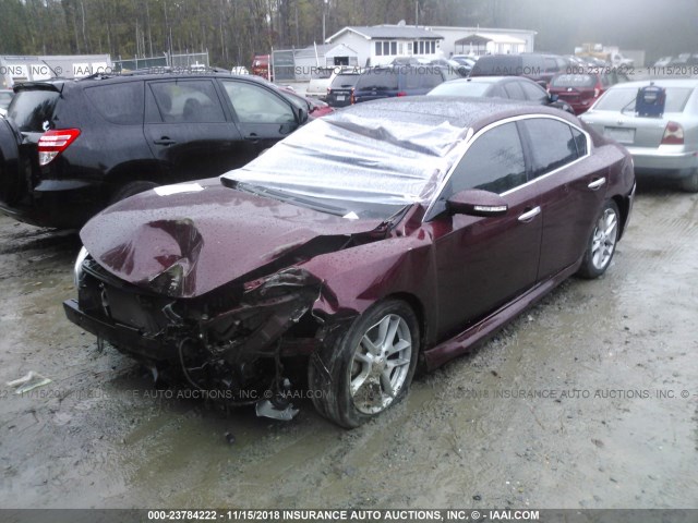 1N4AA5AP4BC833625 - 2011 NISSAN MAXIMA S/SV MAROON photo 2