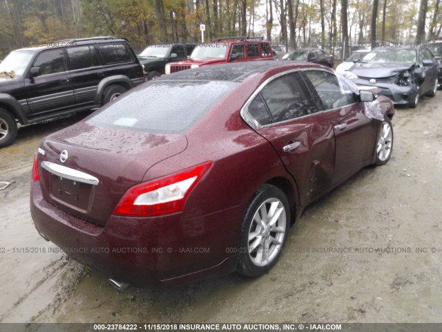 1N4AA5AP4BC833625 - 2011 NISSAN MAXIMA S/SV MAROON photo 4