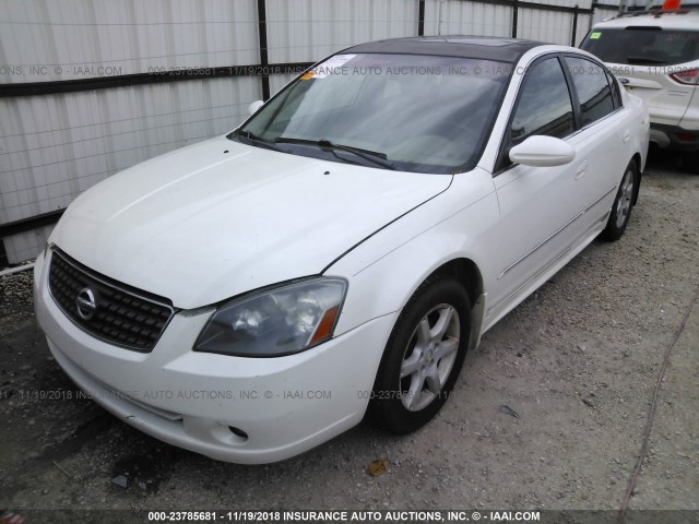 1N4AL11DX5N488036 - 2005 NISSAN ALTIMA S/SL WHITE photo 2