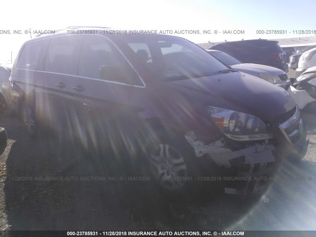 5FNRL38756B017484 - 2006 HONDA ODYSSEY EXL MAROON photo 1