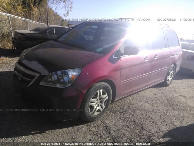 5FNRL38756B017484 - 2006 HONDA ODYSSEY EXL MAROON photo 2