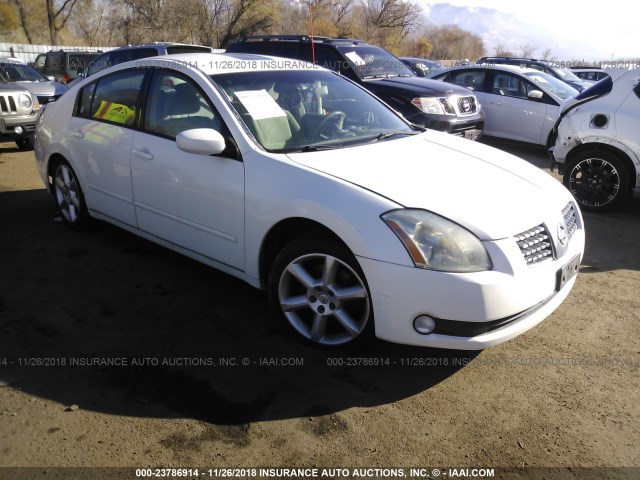 1N4BA41EX5C821996 - 2005 NISSAN MAXIMA SE/SL WHITE photo 1