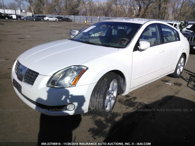 1N4BA41EX5C821996 - 2005 NISSAN MAXIMA SE/SL WHITE photo 2