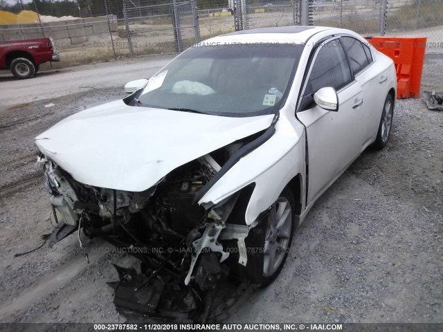 1N4AA5AP6AC861781 - 2010 NISSAN MAXIMA S/SV WHITE photo 2