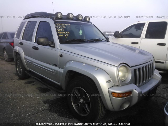 1J4GK38K03W533686 - 2003 JEEP LIBERTY RENEGADE SILVER photo 1