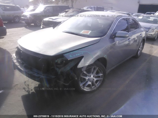 1N4AA51E89C855328 - 2009 NISSAN MAXIMA S/SV GRAY photo 2