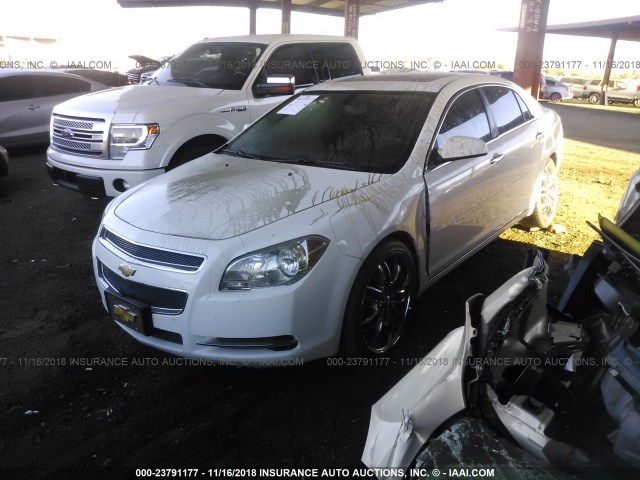 1G1ZC5E01CF113230 - 2012 CHEVROLET MALIBU 1LT WHITE photo 2