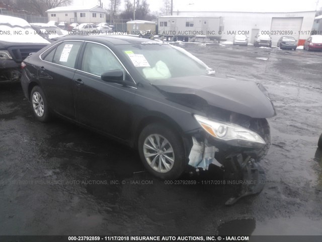 4T4BF1FK0GR560238 - 2016 TOYOTA CAMRY LE/XLE/SE/XSE BLACK photo 1