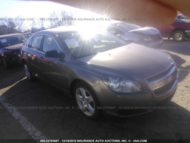 1G1ZA5EU6CF125513 - 2012 CHEVROLET MALIBU LS Pewter photo 1