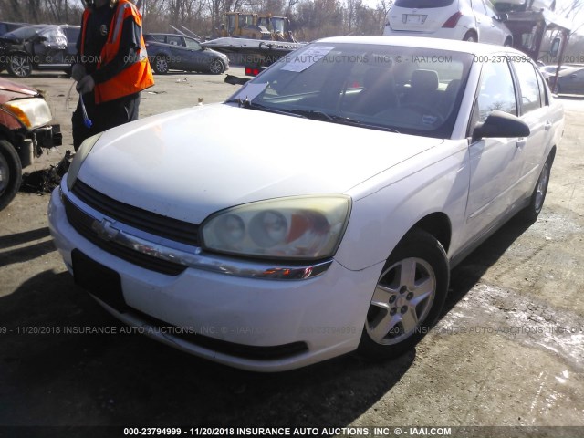 1G1ZT54894F186077 - 2004 CHEVROLET MALIBU LS 白色 照片 2