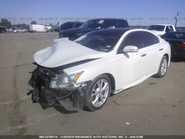 1N4AA5AP0DC827968 - 2013 NISSAN MAXIMA S/SV WHITE photo 2