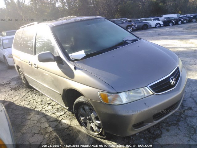 5FNRL18074B097116 - 2004 HONDA ODYSSEY EXL TAN photo 1