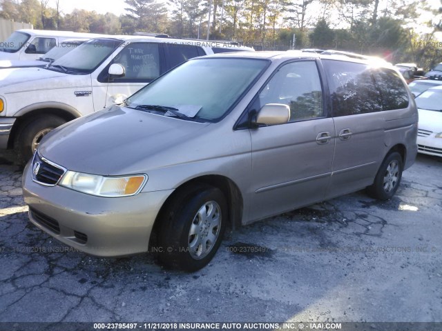 5FNRL18074B097116 - 2004 HONDA ODYSSEY EXL TAN photo 2