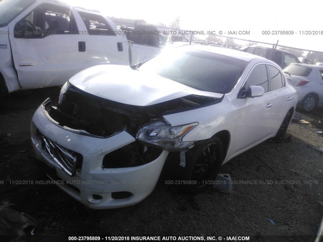 1N4AA5AP3BC811485 - 2011 NISSAN MAXIMA S/SV WHITE photo 2