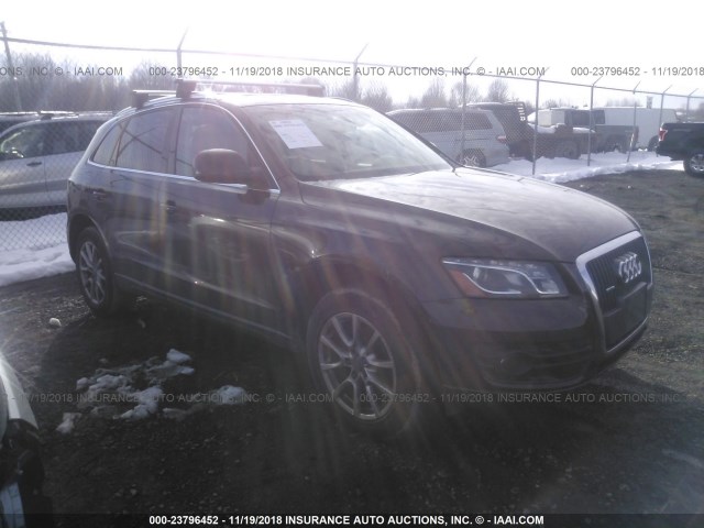 WA1LFAFP4BA030910 - 2011 AUDI Q5 PREMIUM PLUS BROWN photo 1