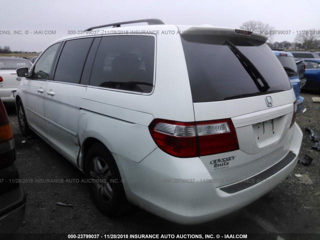 5FNRL38777B141077 - 2007 HONDA ODYSSEY EXL WHITE photo 3