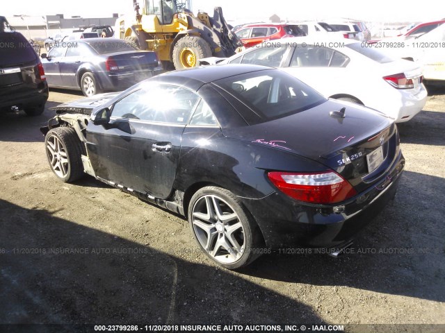 WDDPK4HA8DF073459 - 2013 MERCEDES-BENZ SLK 250 BLACK photo 3