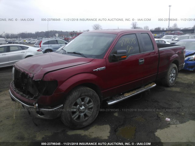 1FTFX1EF2BKD00574 - 2011 FORD F150 SUPER CAB RED photo 2