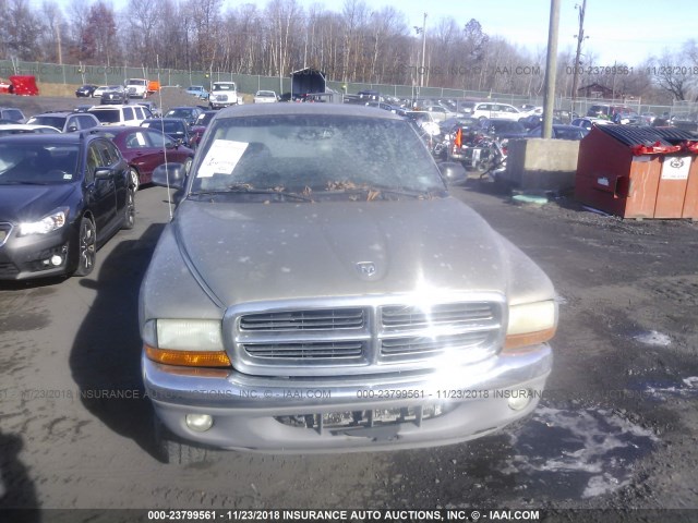 1D7HG42K24S505851 - 2004 DODGE DAKOTA SLT GOLD photo 6