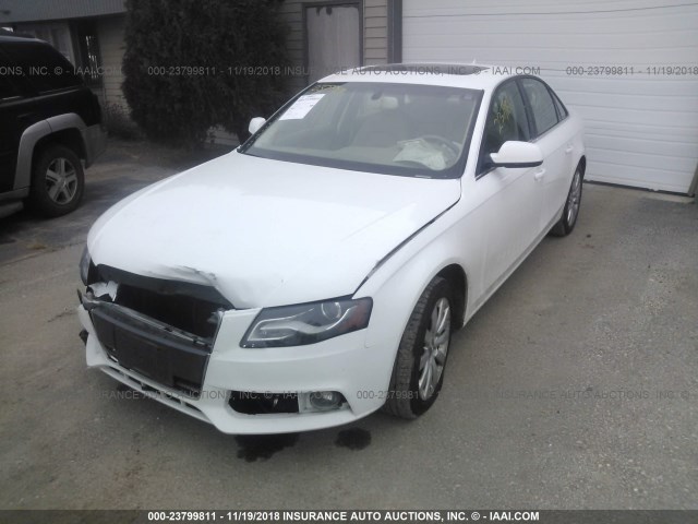 WAUFFAFL8BN023626 - 2011 AUDI A4 PREMIUM PLUS WHITE photo 2