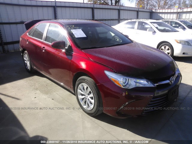 4T1BF1FK0HU711753 - 2017 TOYOTA CAMRY LE/XLE/SE/XSE RED photo 1