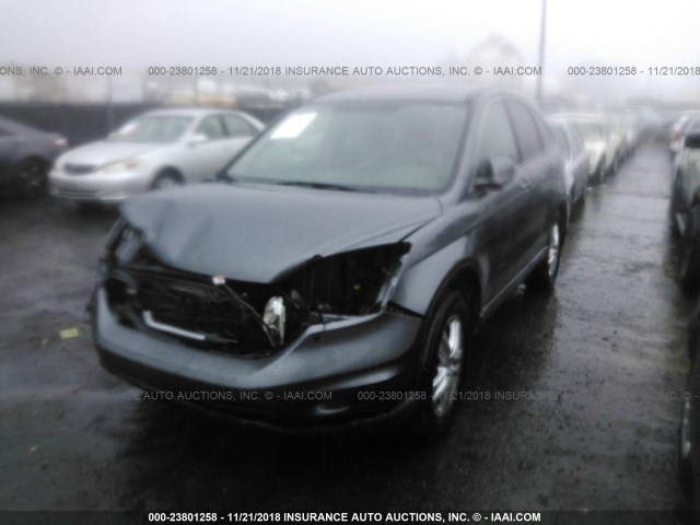 5J6RE4H77AL033234 - 2010 HONDA CR-V EXL BLACK photo 2